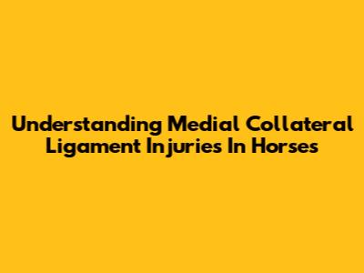 Understanding Medial Collateral Ligament Injuries In Horses