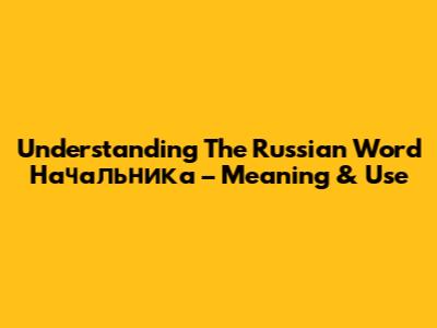 Understanding The Russian Word 'Начальника' – Meaning & Use