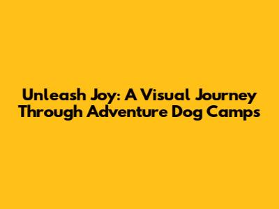 Unleash Joy: A Visual Journey Through Adventure Dog Camps