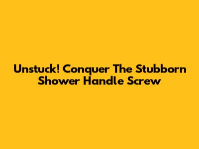 Unstuck! Conquer The Stubborn Shower Handle Screw
