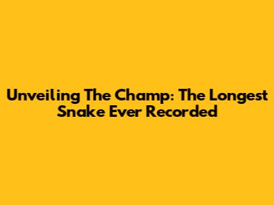 Unveiling The Champ: The Longest Snake Ever Recorded