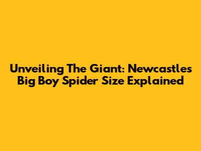 Unveiling The Giant: Newcastle's Big Boy Spider Size Explained