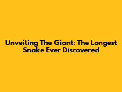 Unveiling The Giant: The Longest Snake Ever Discovered
