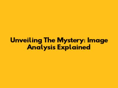 Unveiling The Mystery: Image Analysis Explained