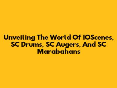 Unveiling The World Of IOScenes, SC Drums, SC Augers, And SC Marabahans