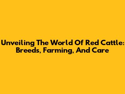 Unveiling The World Of Red Cattle: Breeds, Farming, And Care