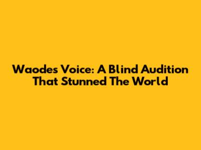 Waode's Voice: A Blind Audition That Stunned The World