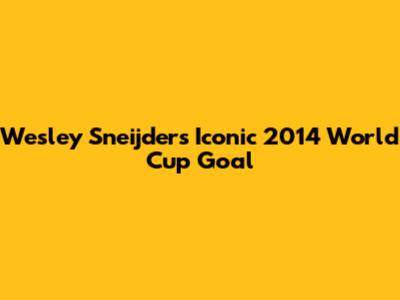 Wesley Sneijder's Iconic 2014 World Cup Goal