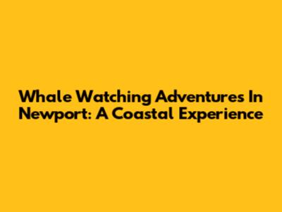 Whale Watching Adventures In Newport: A Coastal Experience