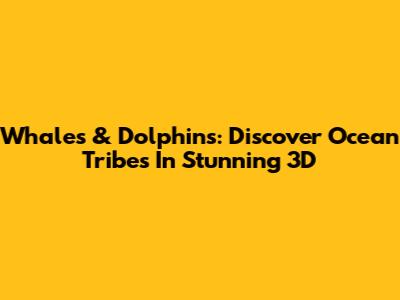 Whales & Dolphins: Discover Ocean Tribes In Stunning 3D