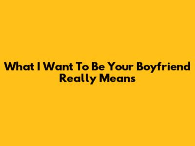 What "I Want To Be Your Boyfriend" Really Means