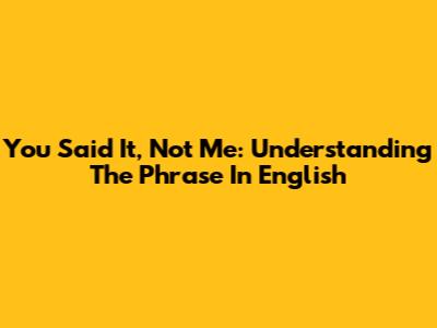 You Said It, Not Me: Understanding The Phrase In English