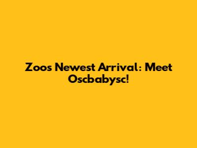 Zoo's Newest Arrival: Meet Oscbabysc!